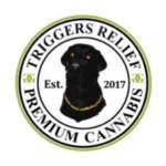 Triggers logo
