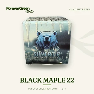 Black Maple 22 solventless concentrate from Silvertip at ForeverGreen