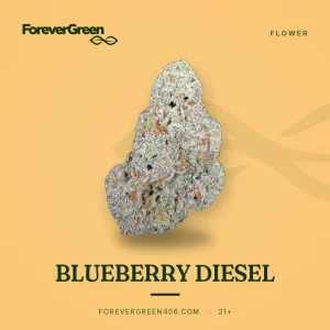 Blueberry Diesel cannabis flower at ForeverGreen