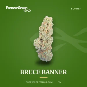 Bruce Banner cannabis flower at ForeverGreen