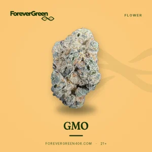 GMO cannabis flower at ForeverGreen