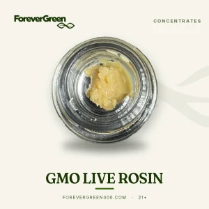 GMO live rosin at ForeverGreen