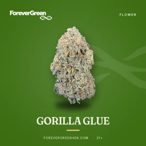 Gorilla Glue cannabis flower at ForeverGreen