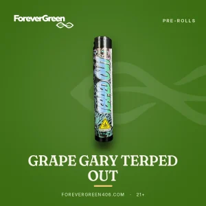 Terped Out Grape Gary infused pre-roll tube at ForeverGreen