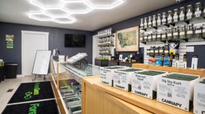 Inside a ForeverGreen dispensary in Montana, with flower jars on the wall and Cannapy pre-rolls and vapes on the counter