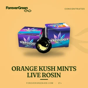 Orange Kush Mints live rosin from Terpology at ForeverGreen