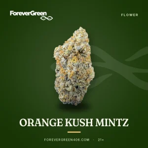 Orange Kush Mintz cannabis flower at ForeverGreen