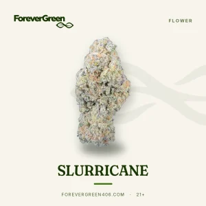 Slurricane cannabis flower at ForeverGreen