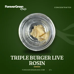Triple Burger live rosin at ForeverGreen