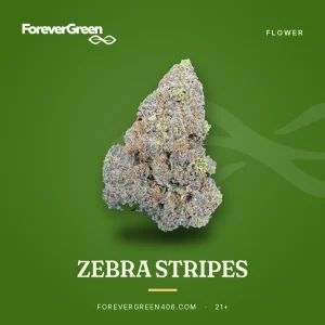 Zebra Stripes cannabis flower at ForeverGreen
